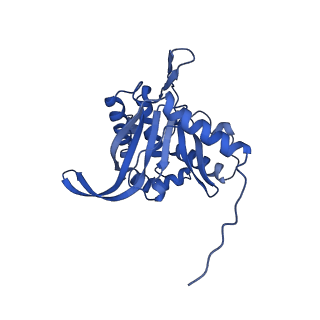 26649_7uol_D_v1-0
Endogenous dihydrolipoamide succinyltransferase (E2) core of 2-oxoglutarate dehydrogenase complex from bovine kidney