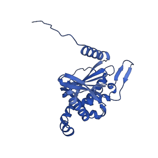 26649_7uol_E_v1-0
Endogenous dihydrolipoamide succinyltransferase (E2) core of 2-oxoglutarate dehydrogenase complex from bovine kidney