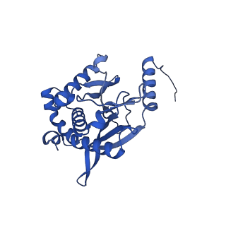 26649_7uol_F_v1-0
Endogenous dihydrolipoamide succinyltransferase (E2) core of 2-oxoglutarate dehydrogenase complex from bovine kidney