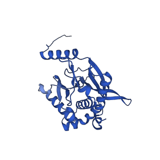 26649_7uol_J_v1-0
Endogenous dihydrolipoamide succinyltransferase (E2) core of 2-oxoglutarate dehydrogenase complex from bovine kidney