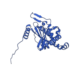 26649_7uol_K_v1-0
Endogenous dihydrolipoamide succinyltransferase (E2) core of 2-oxoglutarate dehydrogenase complex from bovine kidney