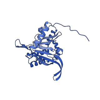 26649_7uol_L_v1-0
Endogenous dihydrolipoamide succinyltransferase (E2) core of 2-oxoglutarate dehydrogenase complex from bovine kidney