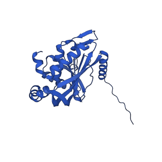 26649_7uol_M_v1-0
Endogenous dihydrolipoamide succinyltransferase (E2) core of 2-oxoglutarate dehydrogenase complex from bovine kidney