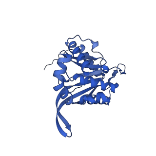 26649_7uol_N_v1-0
Endogenous dihydrolipoamide succinyltransferase (E2) core of 2-oxoglutarate dehydrogenase complex from bovine kidney
