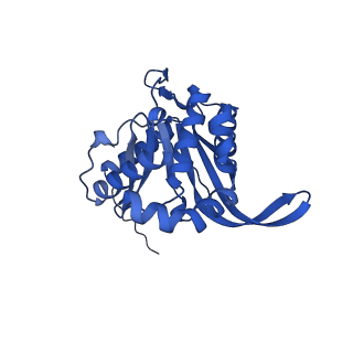 26649_7uol_P_v1-0
Endogenous dihydrolipoamide succinyltransferase (E2) core of 2-oxoglutarate dehydrogenase complex from bovine kidney