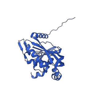 26649_7uol_R_v1-0
Endogenous dihydrolipoamide succinyltransferase (E2) core of 2-oxoglutarate dehydrogenase complex from bovine kidney