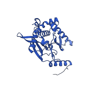 26649_7uol_S_v1-0
Endogenous dihydrolipoamide succinyltransferase (E2) core of 2-oxoglutarate dehydrogenase complex from bovine kidney