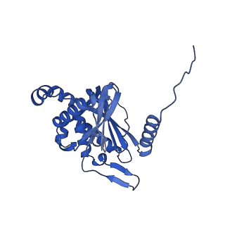 26649_7uol_T_v1-0
Endogenous dihydrolipoamide succinyltransferase (E2) core of 2-oxoglutarate dehydrogenase complex from bovine kidney