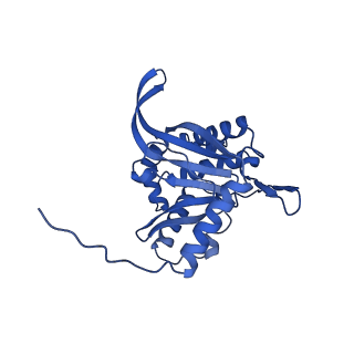 26649_7uol_U_v1-0
Endogenous dihydrolipoamide succinyltransferase (E2) core of 2-oxoglutarate dehydrogenase complex from bovine kidney