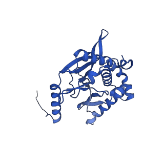 26649_7uol_V_v1-0
Endogenous dihydrolipoamide succinyltransferase (E2) core of 2-oxoglutarate dehydrogenase complex from bovine kidney