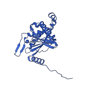 26649_7uol_W_v1-0
Endogenous dihydrolipoamide succinyltransferase (E2) core of 2-oxoglutarate dehydrogenase complex from bovine kidney
