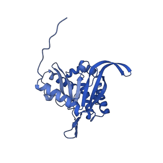 26649_7uol_X_v1-0
Endogenous dihydrolipoamide succinyltransferase (E2) core of 2-oxoglutarate dehydrogenase complex from bovine kidney