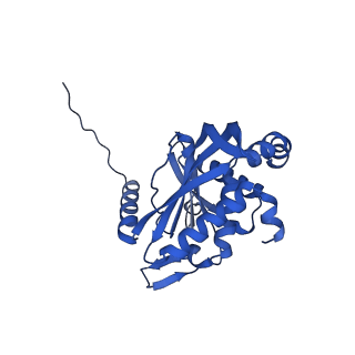 26649_7uol_Z_v1-0
Endogenous dihydrolipoamide succinyltransferase (E2) core of 2-oxoglutarate dehydrogenase complex from bovine kidney