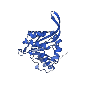 26649_7uol_a_v1-0
Endogenous dihydrolipoamide succinyltransferase (E2) core of 2-oxoglutarate dehydrogenase complex from bovine kidney