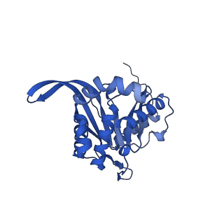 26649_7uol_c_v1-0
Endogenous dihydrolipoamide succinyltransferase (E2) core of 2-oxoglutarate dehydrogenase complex from bovine kidney