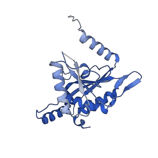 26650_7uom_01_v1-0
Endogenous dihydrolipoamide acetyltransferase (E2) core of pyruvate dehydrogenase complex from bovine kidney