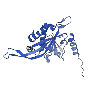26650_7uom_04_v1-0
Endogenous dihydrolipoamide acetyltransferase (E2) core of pyruvate dehydrogenase complex from bovine kidney