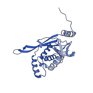 26650_7uom_05_v1-0
Endogenous dihydrolipoamide acetyltransferase (E2) core of pyruvate dehydrogenase complex from bovine kidney