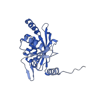 26650_7uom_1a_v1-0
Endogenous dihydrolipoamide acetyltransferase (E2) core of pyruvate dehydrogenase complex from bovine kidney
