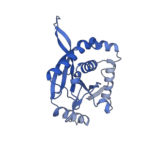 26650_7uom_1b_v1-0
Endogenous dihydrolipoamide acetyltransferase (E2) core of pyruvate dehydrogenase complex from bovine kidney