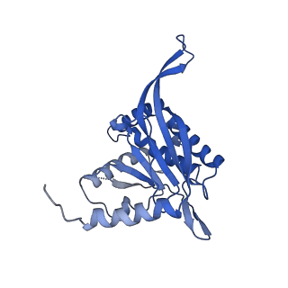 26650_7uom_1c_v1-0
Endogenous dihydrolipoamide acetyltransferase (E2) core of pyruvate dehydrogenase complex from bovine kidney