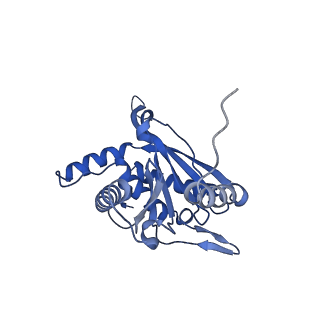 26650_7uom_1d_v1-0
Endogenous dihydrolipoamide acetyltransferase (E2) core of pyruvate dehydrogenase complex from bovine kidney
