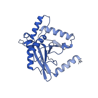 26650_7uom_1e_v1-0
Endogenous dihydrolipoamide acetyltransferase (E2) core of pyruvate dehydrogenase complex from bovine kidney