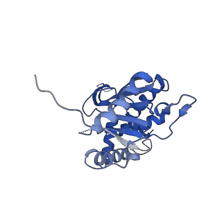 26650_7uom_1g_v1-0
Endogenous dihydrolipoamide acetyltransferase (E2) core of pyruvate dehydrogenase complex from bovine kidney