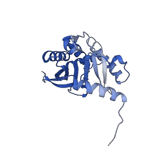26650_7uom_1i_v1-0
Endogenous dihydrolipoamide acetyltransferase (E2) core of pyruvate dehydrogenase complex from bovine kidney