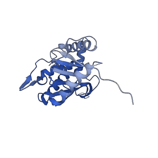 26650_7uom_1j_v1-0
Endogenous dihydrolipoamide acetyltransferase (E2) core of pyruvate dehydrogenase complex from bovine kidney