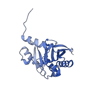 26650_7uom_1l_v1-0
Endogenous dihydrolipoamide acetyltransferase (E2) core of pyruvate dehydrogenase complex from bovine kidney