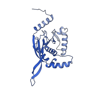 26650_7uom_1m_v1-0
Endogenous dihydrolipoamide acetyltransferase (E2) core of pyruvate dehydrogenase complex from bovine kidney
