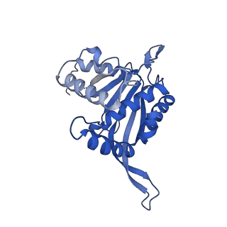 26650_7uom_1n_v1-0
Endogenous dihydrolipoamide acetyltransferase (E2) core of pyruvate dehydrogenase complex from bovine kidney