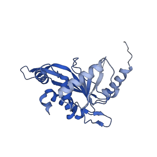 26650_7uom_1o_v1-0
Endogenous dihydrolipoamide acetyltransferase (E2) core of pyruvate dehydrogenase complex from bovine kidney