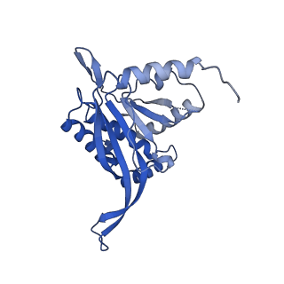 26650_7uom_1p_v1-0
Endogenous dihydrolipoamide acetyltransferase (E2) core of pyruvate dehydrogenase complex from bovine kidney