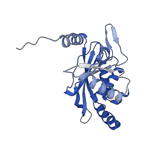 26650_7uom_1q_v1-0
Endogenous dihydrolipoamide acetyltransferase (E2) core of pyruvate dehydrogenase complex from bovine kidney