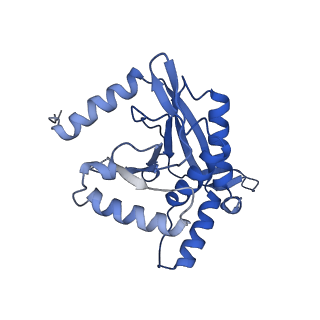 26650_7uom_1s_v1-0
Endogenous dihydrolipoamide acetyltransferase (E2) core of pyruvate dehydrogenase complex from bovine kidney