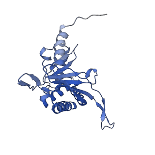 26650_7uom_1t_v1-0
Endogenous dihydrolipoamide acetyltransferase (E2) core of pyruvate dehydrogenase complex from bovine kidney