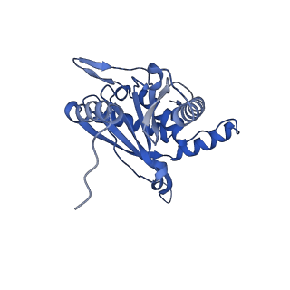 26650_7uom_1u_v1-0
Endogenous dihydrolipoamide acetyltransferase (E2) core of pyruvate dehydrogenase complex from bovine kidney