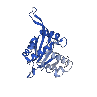 26650_7uom_1v_v1-0
Endogenous dihydrolipoamide acetyltransferase (E2) core of pyruvate dehydrogenase complex from bovine kidney