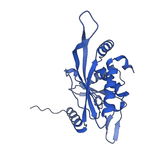 26650_7uom_1w_v1-0
Endogenous dihydrolipoamide acetyltransferase (E2) core of pyruvate dehydrogenase complex from bovine kidney