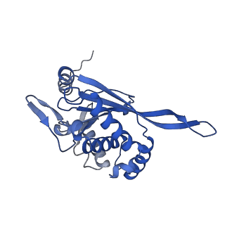 26650_7uom_1x_v1-0
Endogenous dihydrolipoamide acetyltransferase (E2) core of pyruvate dehydrogenase complex from bovine kidney
