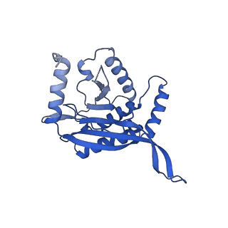 26650_7uom_1z_v1-0
Endogenous dihydrolipoamide acetyltransferase (E2) core of pyruvate dehydrogenase complex from bovine kidney
