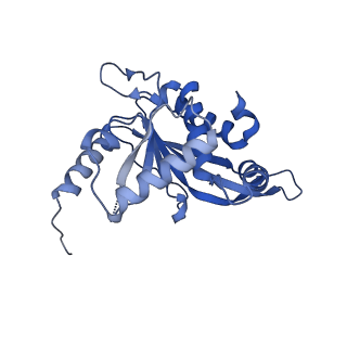 26650_7uom_2a_v1-0
Endogenous dihydrolipoamide acetyltransferase (E2) core of pyruvate dehydrogenase complex from bovine kidney