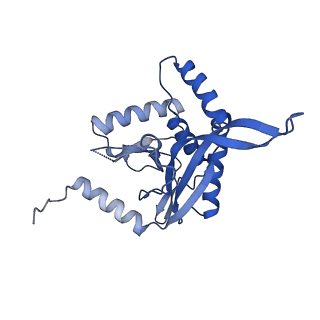 26650_7uom_2b_v1-0
Endogenous dihydrolipoamide acetyltransferase (E2) core of pyruvate dehydrogenase complex from bovine kidney