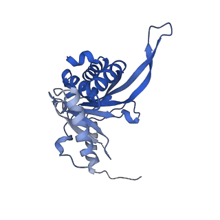26650_7uom_2c_v1-0
Endogenous dihydrolipoamide acetyltransferase (E2) core of pyruvate dehydrogenase complex from bovine kidney