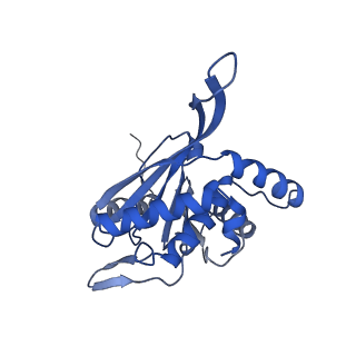26650_7uom_2d_v1-0
Endogenous dihydrolipoamide acetyltransferase (E2) core of pyruvate dehydrogenase complex from bovine kidney