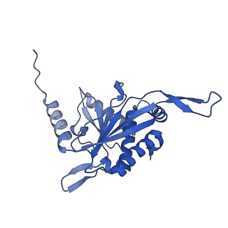 26650_7uom_2e_v1-0
Endogenous dihydrolipoamide acetyltransferase (E2) core of pyruvate dehydrogenase complex from bovine kidney
