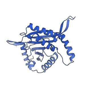 26650_7uom_2g_v1-0
Endogenous dihydrolipoamide acetyltransferase (E2) core of pyruvate dehydrogenase complex from bovine kidney