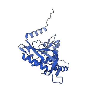 26650_7uom_2h_v1-0
Endogenous dihydrolipoamide acetyltransferase (E2) core of pyruvate dehydrogenase complex from bovine kidney